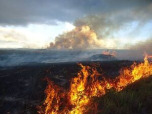 Gran incendio PNC. Dic. 2009. Fuente: Humberto Chan