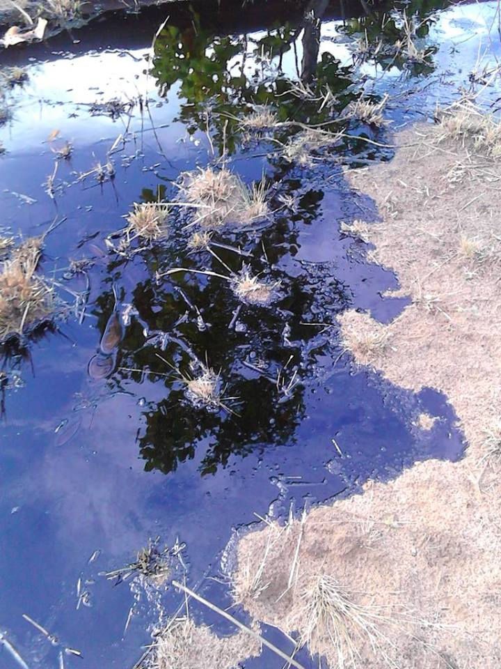 Productores agropecuarios alertan sobre derrames de crudo en el municipio Monagas (Anzoategui)