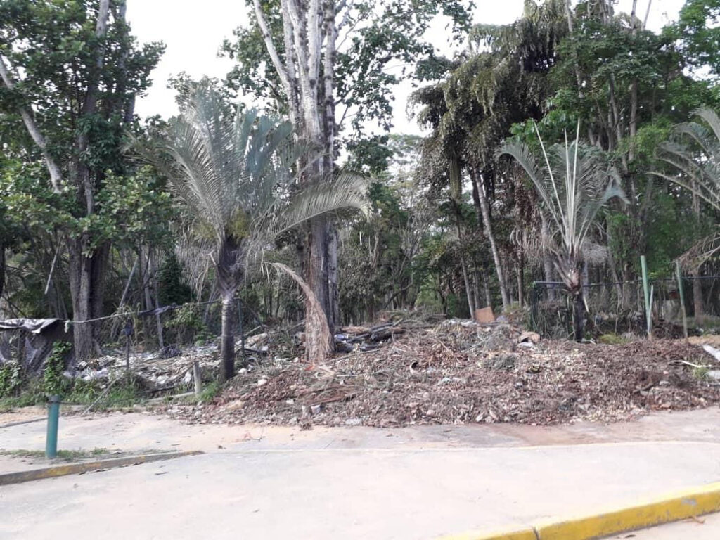 Caracas: Parque del Este agobiado por el hampa y la basura ...