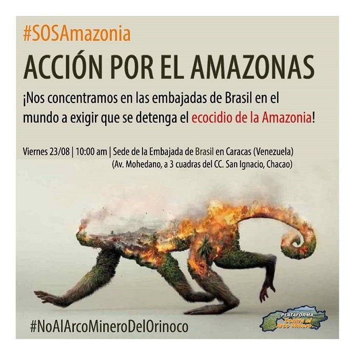 Ecocidio del Amazonas: una política de Estado