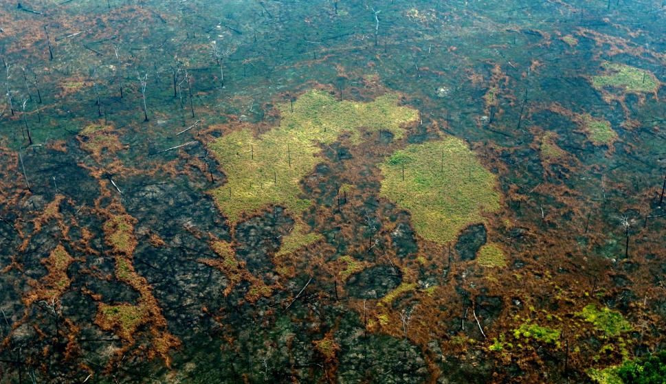 A propósito del pavoroso incendio de la Amazonía: el colapso ronda al planeta