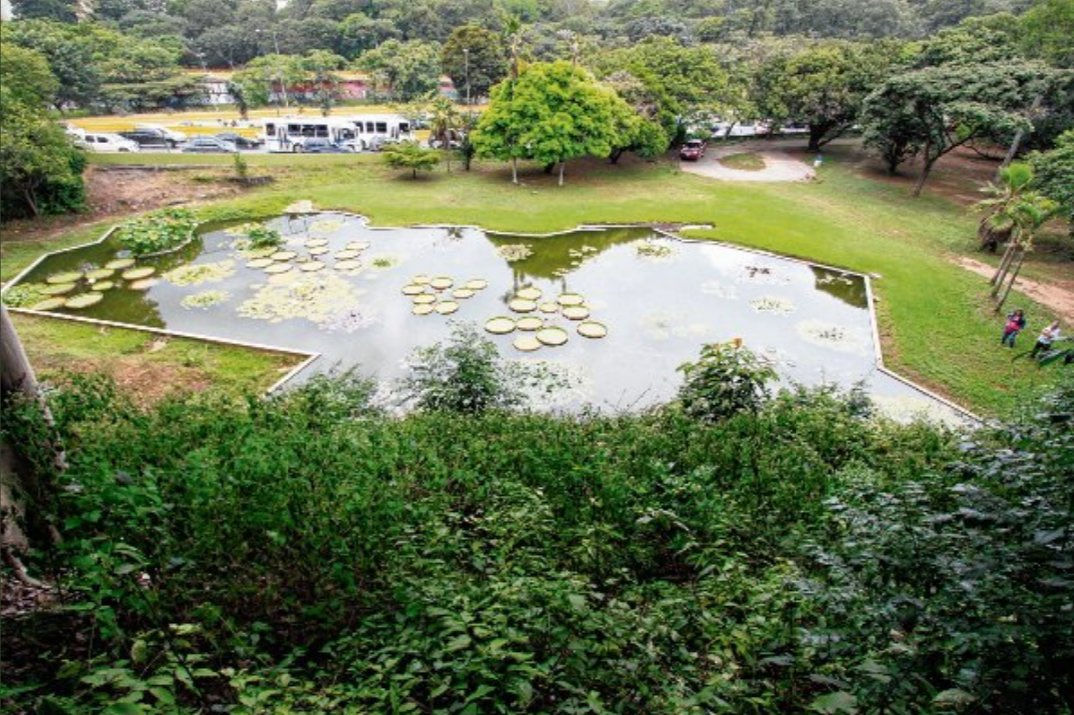 Crisis del Jardín Botánico de la UCV pone en riesgo patrimonio botánico de la institución