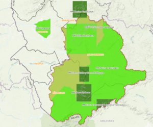 Comunidades yanomami afectadas por minería ilegal de oro en Cerro Aracamuni y río Siapa (municipio Río Negro, Amazonas)