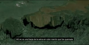 Comunidades yanomami afectadas por minería ilegal de oro en Cerro Aracamuni y río Siapa (municipio Río Negro, Amazonas)