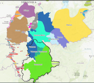 Comunidades yanomami afectadas por minería ilegal de oro en Cerro Aracamuni y río Siapa (municipio Río Negro, Amazonas)