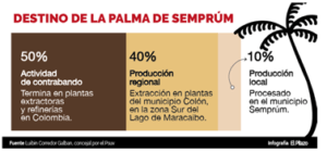 Impactos socio-ambientales de las plantaciones de palma aceitera en el Sur del Lago de Maracaibo (Zulia)