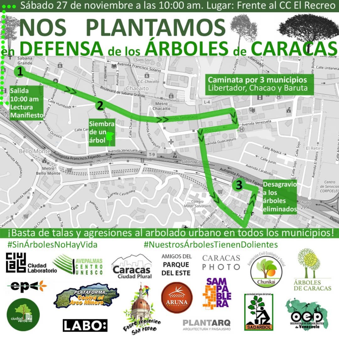 CARACAS: Organizaciones sociales convocan a una Caminata en Defensa de los árboles