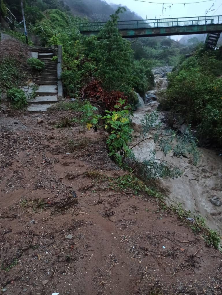 Desafíos de la agricultura urbana en Tacagua Vieja