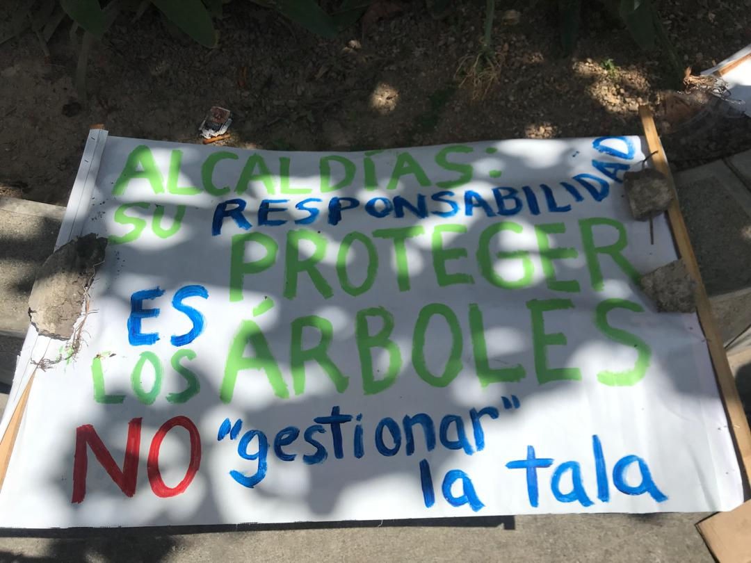 En Caracas se realizó acción colectiva en desagravio a los árboles