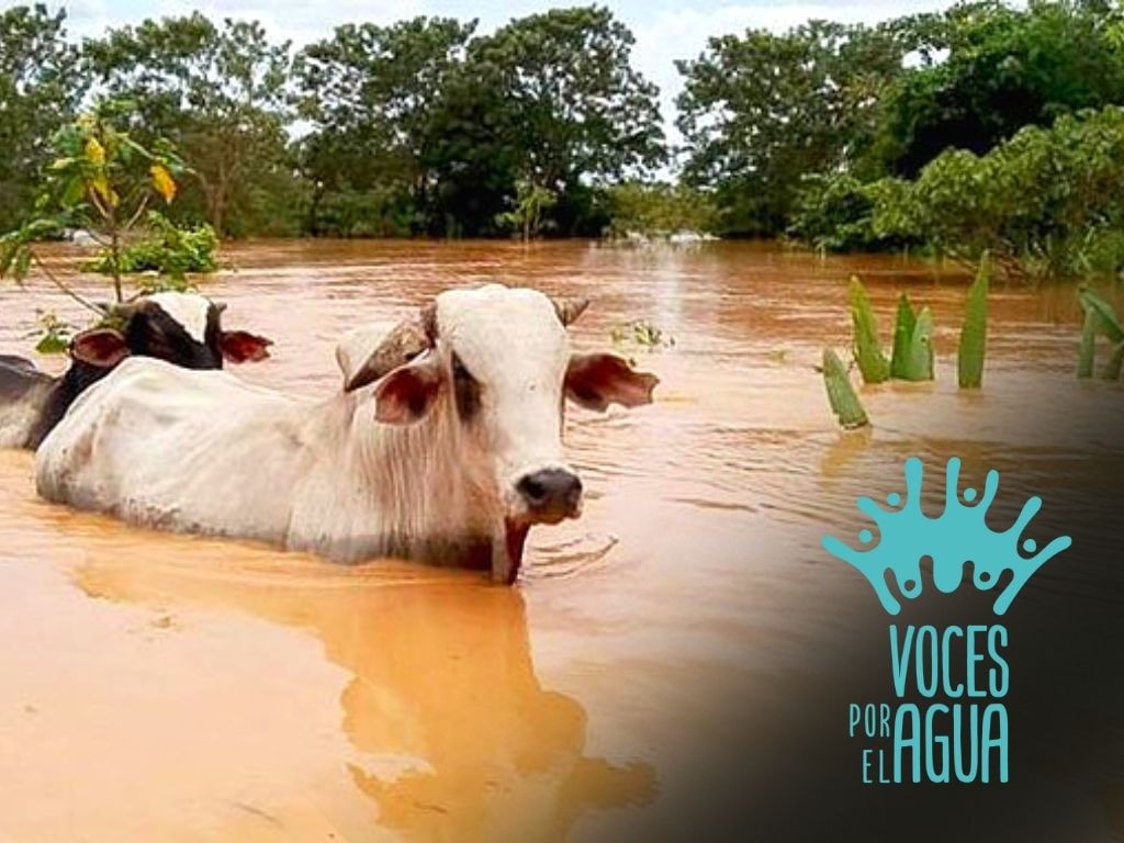 Después de la lluvia: Impacto económico de las inundaciones en Venezuela 
