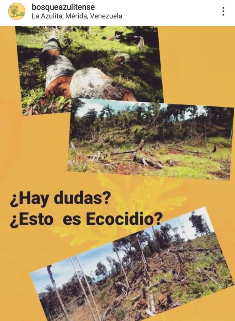 Ecocidio en El Urumal, estado Mérida sigue impune