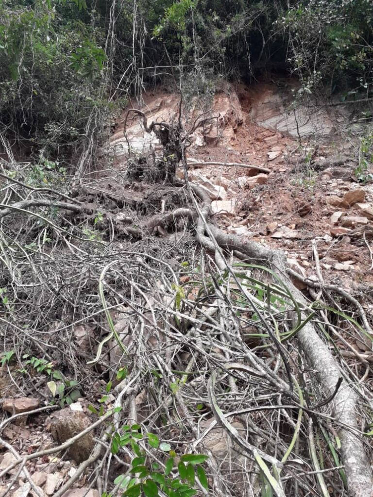 Deslizamientos de tierra y árboles caídos en el Parque Nacional Waraira Repano/Ávila