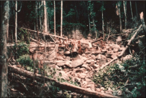 La minería ilegal en el Parque Nacional Yapacana