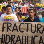 Detener la pérdida de biodiversidad: 5 ámbitos clave para desescalar el extractivismo en América Latina