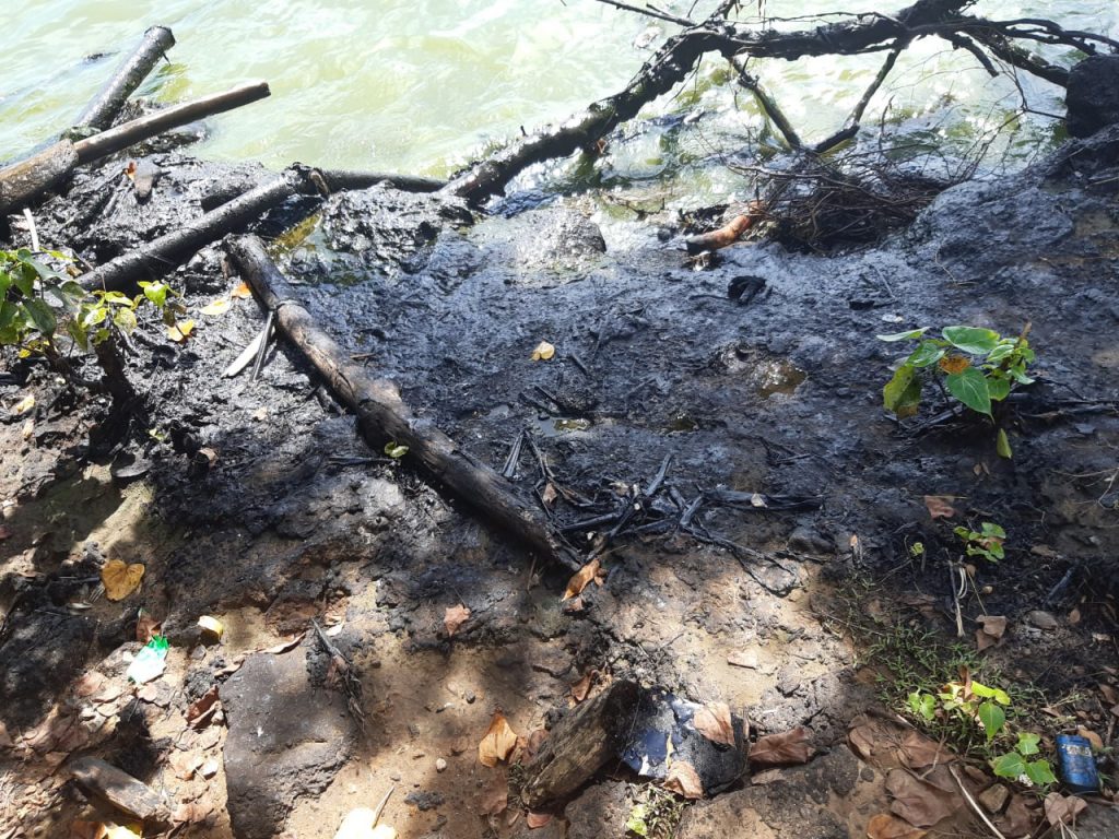 El Lago de Maracaibo: un largo historial de contaminación