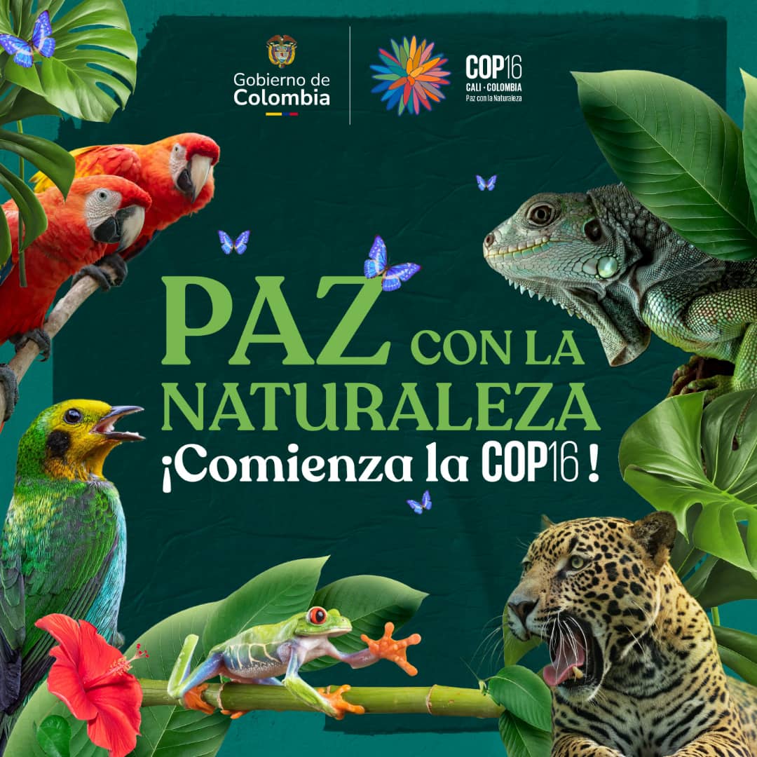 COP16: un llamado a la Paz con la naturaleza - Observatorio de Ecología ...